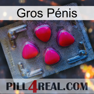 Gros Pénis 13